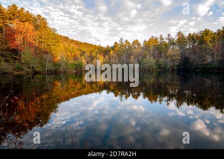 Lake Dense in autumn with cloud reflections - DuPont State Recreational Forest - near Cedar Mountain, North Carolina, USA Stock Photo