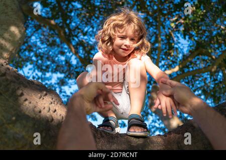 Father helping son climb a tree. Cute kids boy climbing on the tree. Child protection. Parent holds the hand of a child. Stock Photo