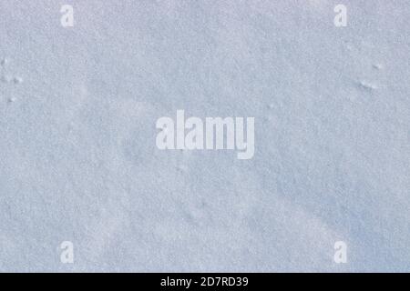 Winter christmas background, white snow texture with copy space Stock Photo