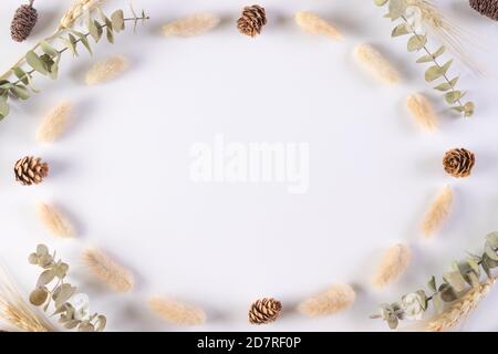 Autumn, fall concept. Frame made of eucalyptus branches, dried leaves on white background. Flat lay, top view, copy space Stock Photo