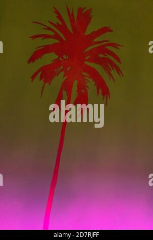 Tropical palm tree in pink and purple neon lights on green background. Trendy 80s concept. Stock Photo