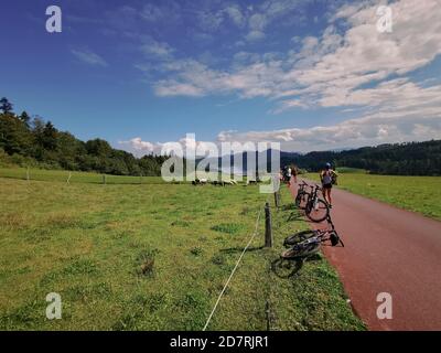 Bicycle path around Lake Czorsztyn. Poland Czorsztyn. Stock Photo