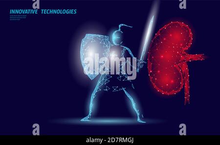 Low poly 3D human kidney shield protect. Medicine recovery technology drug medicine concept. Vector illustration Stock Vector