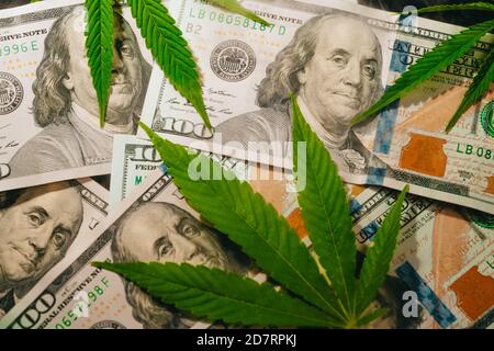 weed money wallpaper