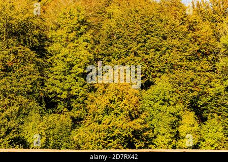 Herbstliche Impressionen aus Schleswig-Holstein im Oktober. Stock Photo