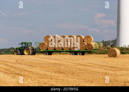 Herbstliche Impressionen aus Schleswig-Holstein im Oktober. Stock Photo