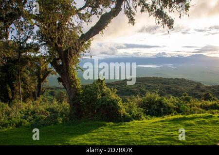 Ngorongoro Conservation Area, is a protected area and a World Heritage Site located 180 km (110 mi) west of Arusha in the Crater Highlands area of Tan Stock Photo