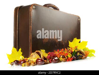 Old Leather Suitcase with Autumn Leaves isolated on white Background Stock Photo