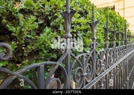 Beautiful decorative cast metal wrought fence with artistic forging in a garden. Stock Photo