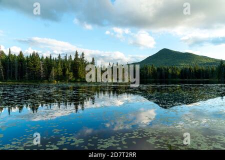 The Horn peak reflected in Unknown Pond in the early evening, summer, August, White Mountain National Forest, New Hampshire. Stock Photo