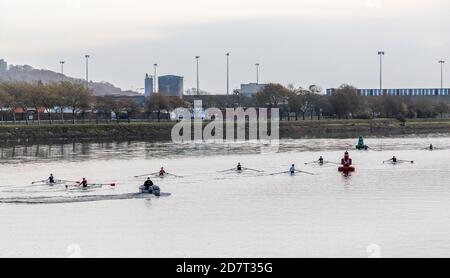 Cork City, Cork, Ireland. 25th October, 2020. Single scullers from Lee Rowing Club on the river on the October Bank Holiday weekend in Cork City, Ireland.  - Credit; David Creedon / Alamy Live News Stock Photo