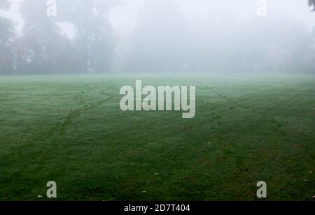 Two sets of footprints on grass on wet, misty morning. Full frame, copy space, horizontal composition. Stock Photo