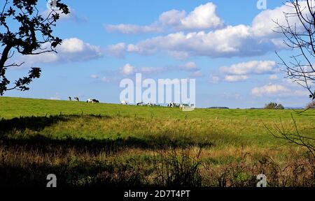 Ayrshire Countryside in Scotland near the village of Dundonald. Stock Photo