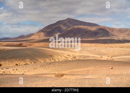 Playa del Papagayo, Lanzarote, HDR Image Stock Photo