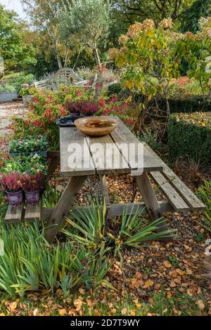 5 foot Garden table bench seat in a pretty small garden Stock Photo