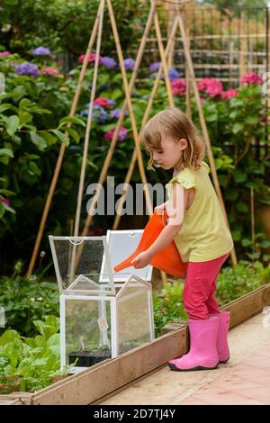 Three year old girl watering plants in the garden. Stock Photo