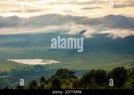 Ngorongoro Conservation Area, is a protected area and a World Heritage Site located 180 km (110 mi) west of Arusha in the Crater Highlands area of Tan Stock Photo