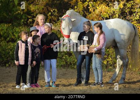 Kids playing fith horse in the farm.  Little girls having fun while walking outdoors Stock Photo