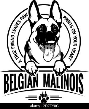 Belgian Malinois Dog Happy Face Paw Puppy Pup Pet Clip Art K-9 Cop Police Logo SVG PNG Clipart Vector Cricut Cut Cutting Stock Vector