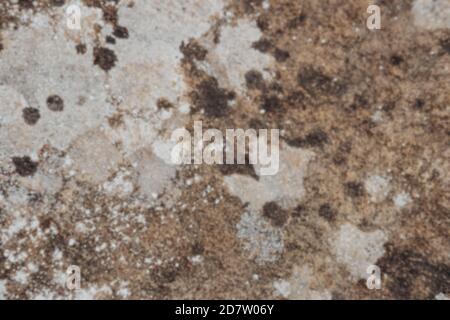 blurred defocused stone texture for background design, spotted wall with rust. Brown and beige toned surface. Stock Photo