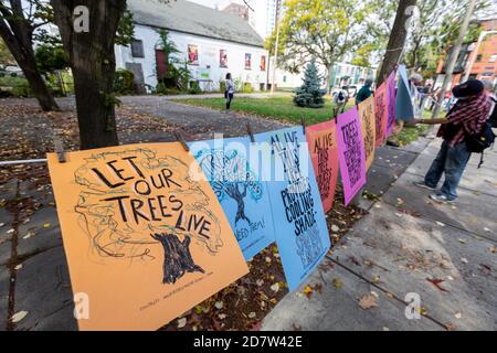 October 24, 2020. Boston, MA. About 50 activists rallied and lined Melnea Cass Boulevard  to protest a controversial plan to cut down about a quarter Stock Photo