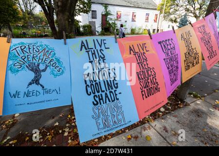 October 24, 2020. Boston, MA. About 50 activists rallied and lined Melnea Cass Boulevard  to protest a controversial plan to cut down about a quarter Stock Photo