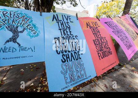 October 24, 2020. Boston, MA. About 50 activists rallied and lined Melnea Cass Boulevard  to protest a controversial plan to cut down about a quarter Stock Photo