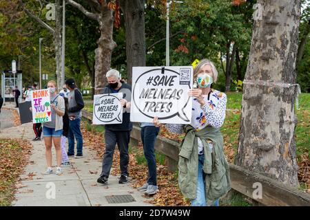 October 24, 2020. Boston, MA. About 50 activists rallied and lined Melnea Cass Boulevard  to protest a controversial plan to cut down about a quarter Stock Photo