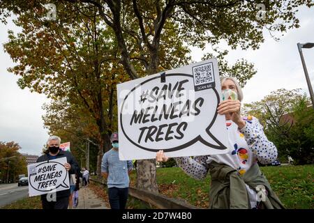 October 24, 2020. Boston, MA. About 50 activists rallied and lined Melnea Cass Boulevard  to protest a controversial plan to cut down about a quarter Stock Photo