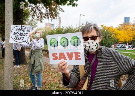 October 24, 2020. Boston, MA. About 50 activists rallied and lined Melnea Cass Boulevard  to protest a controversial plan to cut down about a quarter Stock Photo