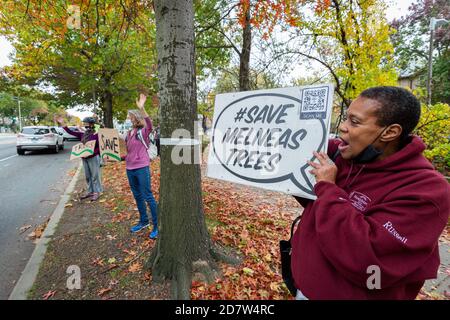 October 24, 2020. Boston, MA. About 50 activists rallied and lined Melnea Cass Boulevard  to protest a controversial plan to cut down about a quarter Stock Photo