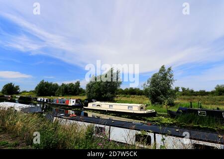 Narrowboats at the Hermitage Marina, Earith village, Cambridgeshire; England, UK Stock Photo