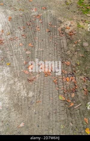 Tire tracks from cars and trucks imprinted in a drying puddle of dirt and gravel parking lot with fallen leaves on the surface in autumn Stock Photo