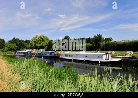 Narrowboats at the Hermitage Marina, Earith village, Cambridgeshire; England, UK Stock Photo