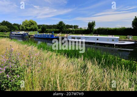 Narrowboats at the Hermitage Marina, Earith village, Cambridgeshire; England, UK Stock Photo