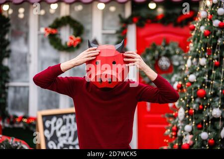 A young man in a bull ox costume is a symbol of the new year against the background of a red car, a festive Christmas tree, decorated with garlands of Stock Photo