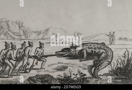 16th century French expedition. Florida. Crocodile hunting. In the expedition Jacques Le Moyne de Morgues (1533-1588) made the illustrations. 19th century engraving by Fortier after the original of Jacques Le Moyne. Panorama Universal. History of the United States of America, from 1st edition of Jean B.G. Roux de Rochelle's Etats-Unis d'Amérique in 1837. Spanish edition, printed in Barcelona, 1850. Stock Photo
