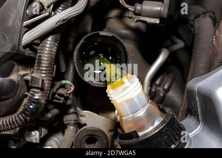 Car mechanic pours new car oil into the engine from a plastic tank in a car workshop, top view. Stock Photo