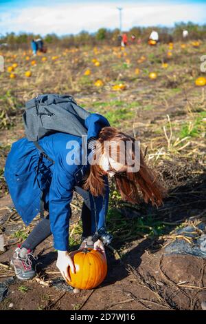 A young woman picking up a pumpkin at a pumpkin patch, ready for Halloween. Stock Photo