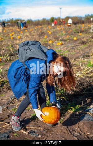 A young woman lifting up a pumpkin at a pumpkin patch, ready for Halloween. Stock Photo