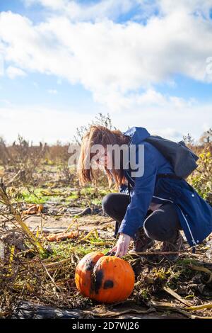A young woman picking an inspecting a pumpkin at a pumpkin patch under a blue sky, ready for Halloween. Stock Photo
