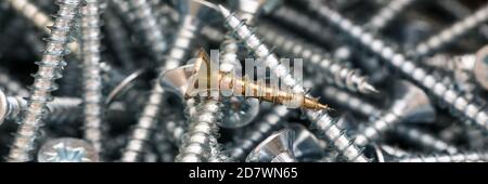 Universal silver screws of different sizes closeup Stock Photo