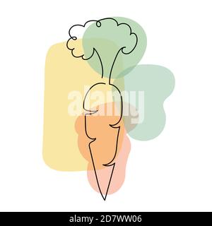 Carrot in a hand drawn linear style. Stock Vector
