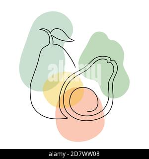 Avocado in a hand drawn linear style. Stock Vector