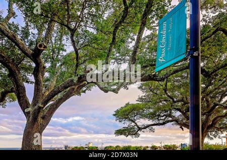 name of trees in mississippi