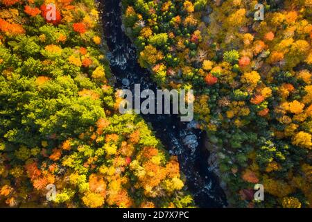 Aerial view of Winding River Through Autumn Trees with Fall Colors in Adirondacks, New York, New England