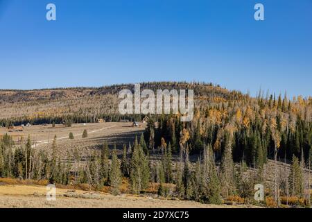 Sunny view of the beautiful fall color around Dixie National Forest at Utah Stock Photo