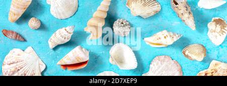 Ocean panorama with sea shells, shot from above on a vibrant blue background, a flat lay composition Stock Photo