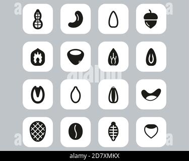 Healthy Snacks Or Nuts Icons Black & White Flat Design Set Big Stock Vector