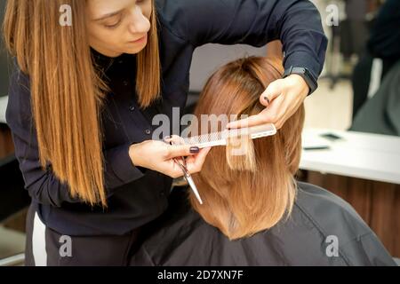 Back view of hairdresser cuts red or brown hair to young woman in beauty salon. Haircut in hair salon Stock Photo